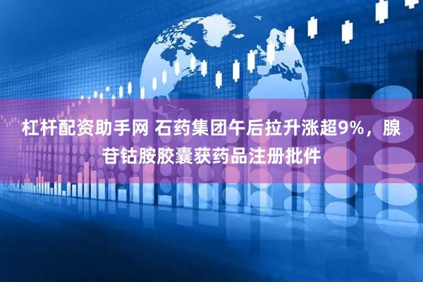 杠杆配资助手网 石药集团午后拉升涨超9%，腺苷钴胺胶囊获药品注册批件